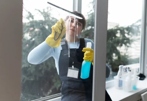 Nettoyage de vitres intérieures et extérieures à Vocance